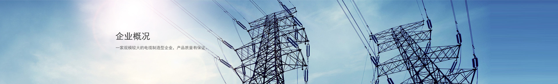 企業(yè)榮譽(yù)